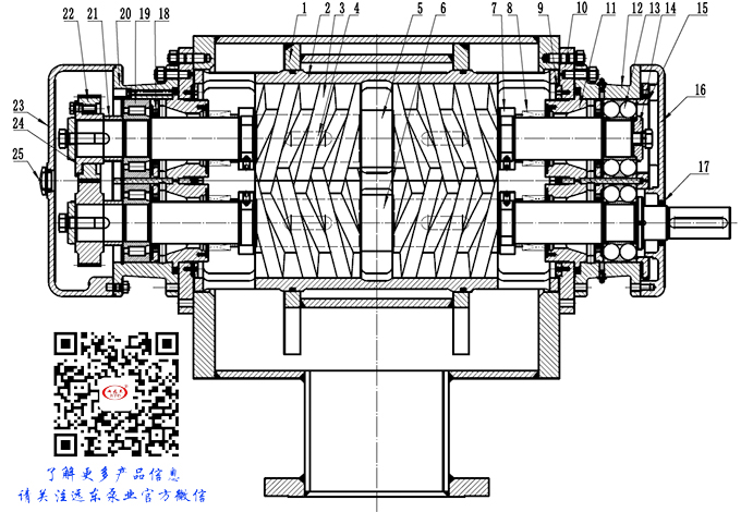 雙螺杆泵(bèng)結構圖